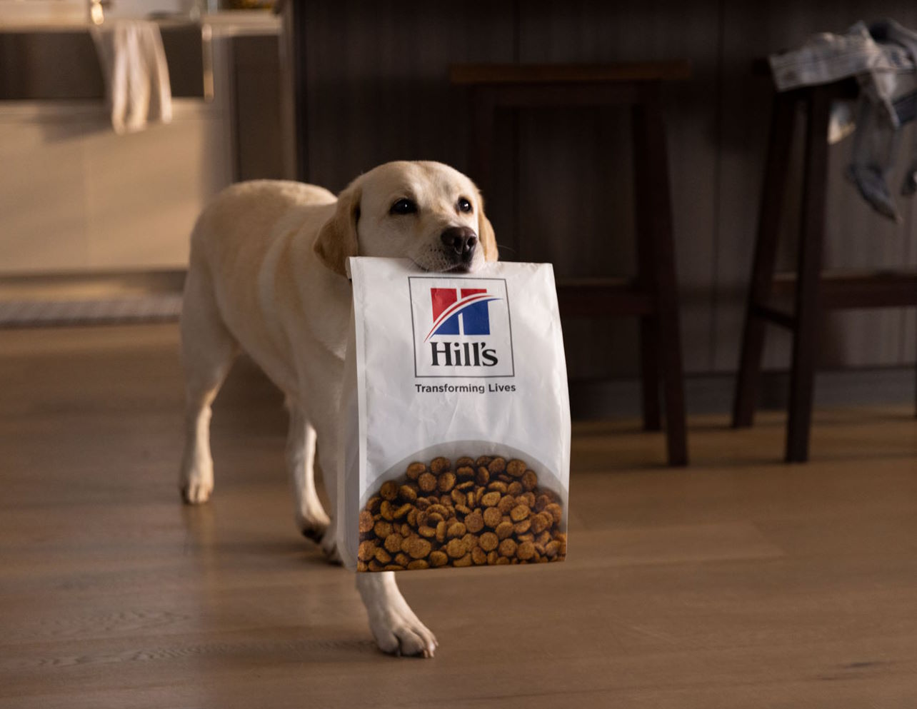 HILL'S