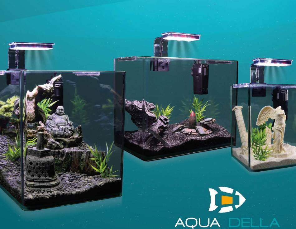 Aqua Della