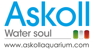 Askoll
