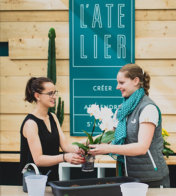 Rempotage de plante