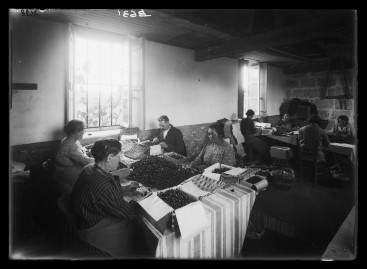 Photo historique de l’entreprise Truffaut