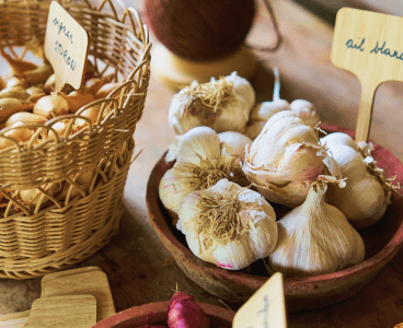Pommes de terre, ail, échalotes et oignons